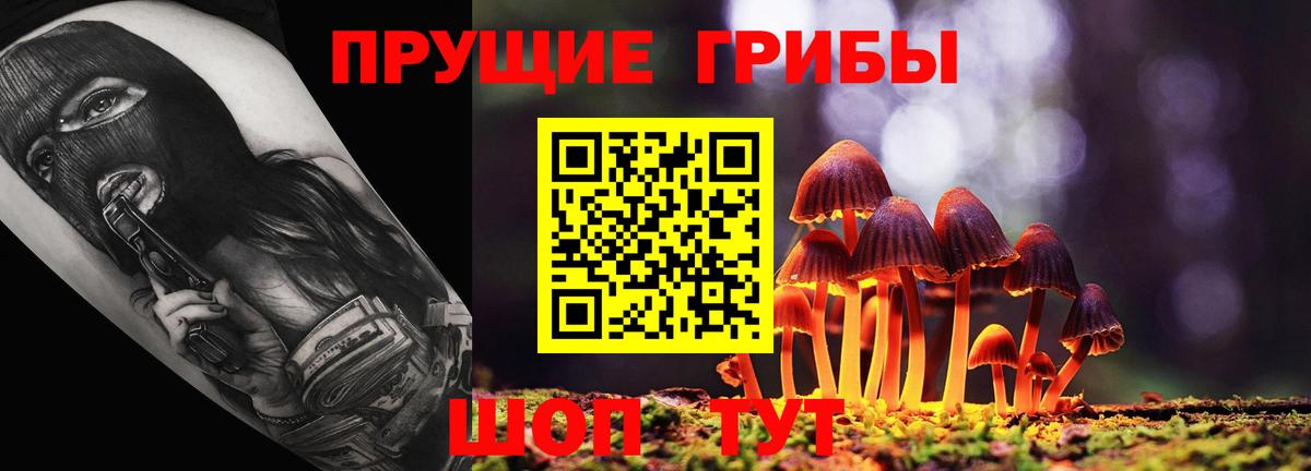 Унеча  купить  сайты  Галлюциногенные грибы Cubensis  Вход с VPN  Псилоцибиновые грибы MAGIC MUSHROOMS 